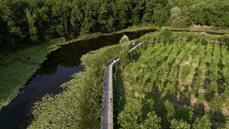 Türkiye’nin en büyük tek parça subasar ormanı 18